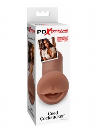 Мастурбатор-ротик Coed Cocksucker - Pipedream - в Омске купить с доставкой