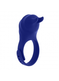 Синее эрекционное виброкольцо с клиторальной подушечкой и пультом ДУ Adjustable Fun Ring - Zero Tolerance - в Омске купить с доставкой
