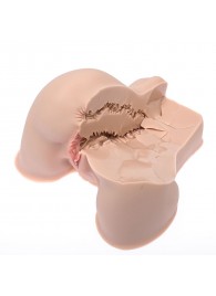 Мастурбатор-полуторс Naked Factory Kate - Naked Factory - в Омске купить с доставкой