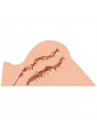 Мастурбатор-полуторс Naked Factory Hannah - Naked Factory - в Омске купить с доставкой