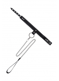 Черный узкий однослойный ошейник с серебристым поводком-цепочкой - Pecado - купить с доставкой в Омске