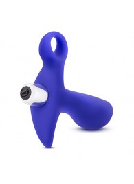 Синий стимулятор простаты с ручкой-кольцом Performance Prostimulator 02 - Blush Novelties - в Омске купить с доставкой