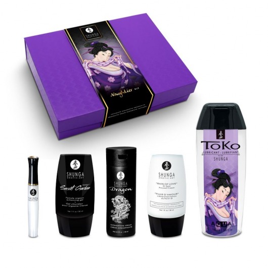 Подарочный набор Naughter Kit - Shunga - купить с доставкой в Омске