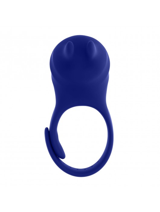 Синее эрекционное виброкольцо с клиторальной подушечкой и пультом ДУ Adjustable Fun Ring - Zero Tolerance - в Омске купить с доставкой