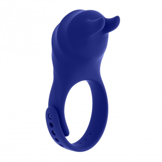 Синее эрекционное виброкольцо с клиторальной подушечкой и пультом ДУ Adjustable Fun Ring - Zero Tolerance - в Омске купить с доставкой