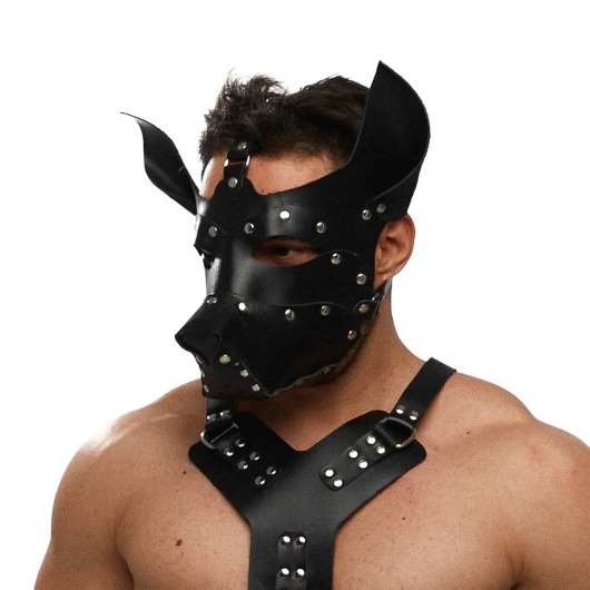 Черная кожаная маска «Собака» - Crazy Handmade - купить с доставкой в Омске