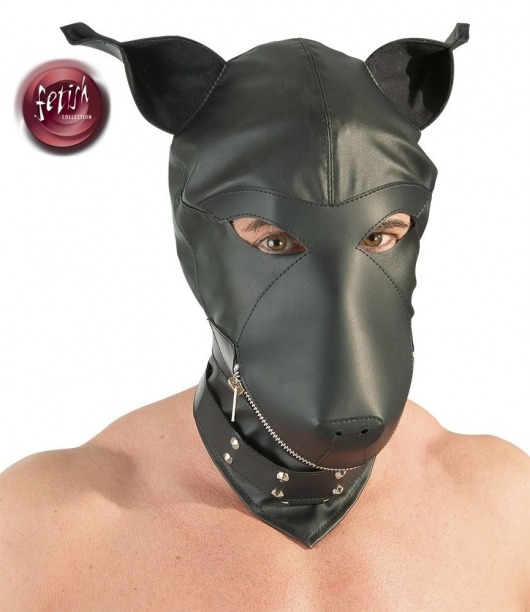 Шлем-маска Dog Mask в виде морды собаки - Orion - купить с доставкой в Омске
