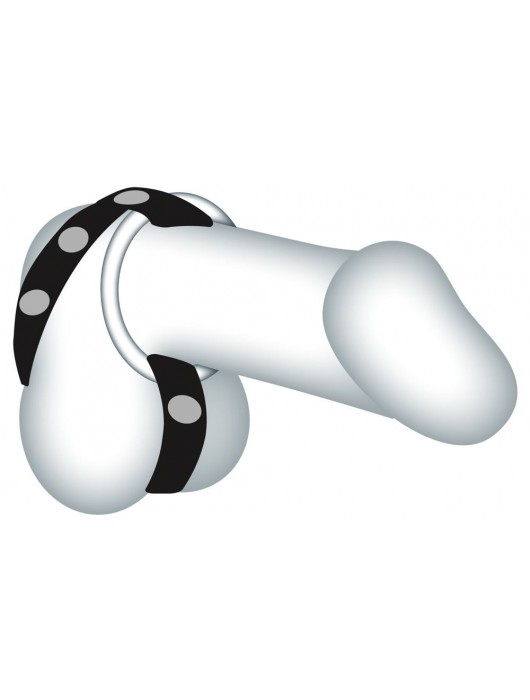 Подхват для мошонки с 3 съемными эрекционными кольцами Leder-Riemen - Orion - в Омске купить с доставкой