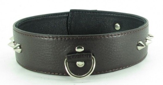 Коричневый кожаный ошейник с кольцом увеличенного размера - БДСМ Арсенал - купить с доставкой в Омске