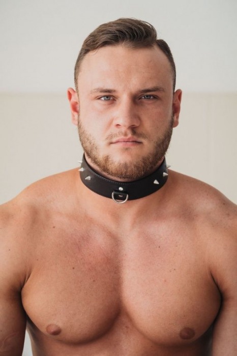 Коричневый кожаный ошейник с кольцом увеличенного размера - БДСМ Арсенал - купить с доставкой в Омске