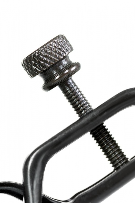 Черно-золотистые зажимы для сосков TOYFA Theatre - ToyFa - купить с доставкой в Омске