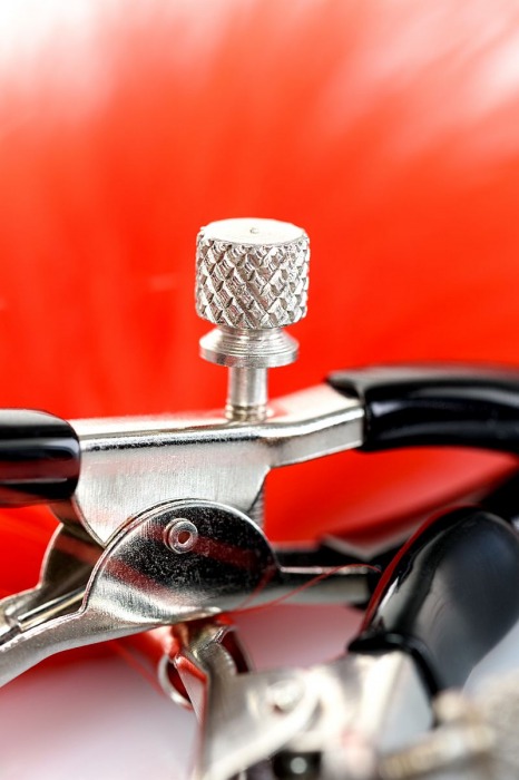 Зажимы для сосков с красным пухом Theatre - ToyFa - купить с доставкой в Омске